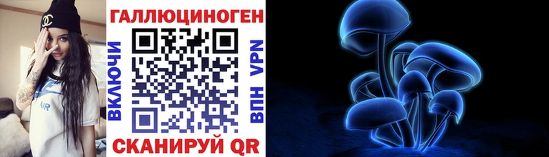 купить  цена  Няндома  Псилоцибиновые грибы Cubensis 